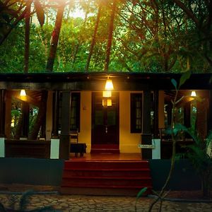 Exotic Cottages